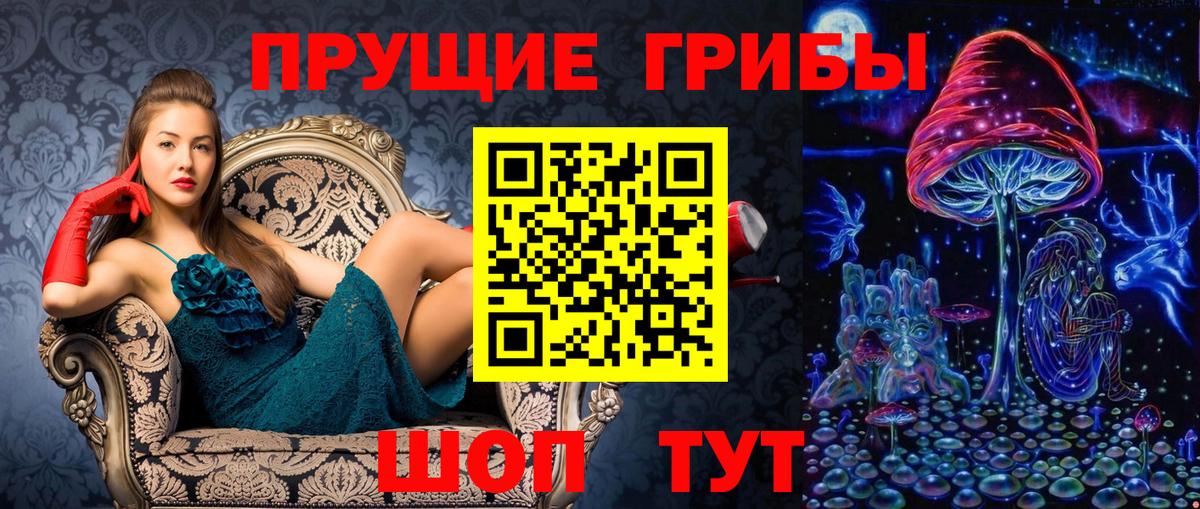 Галлюциногенные грибы Psilocybine cubensis  Вход с VPN  купить   Салехард 