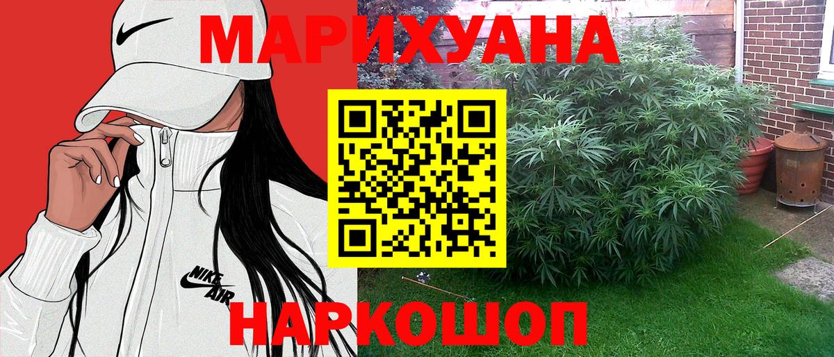 Бошки марихуана конопля Салехард